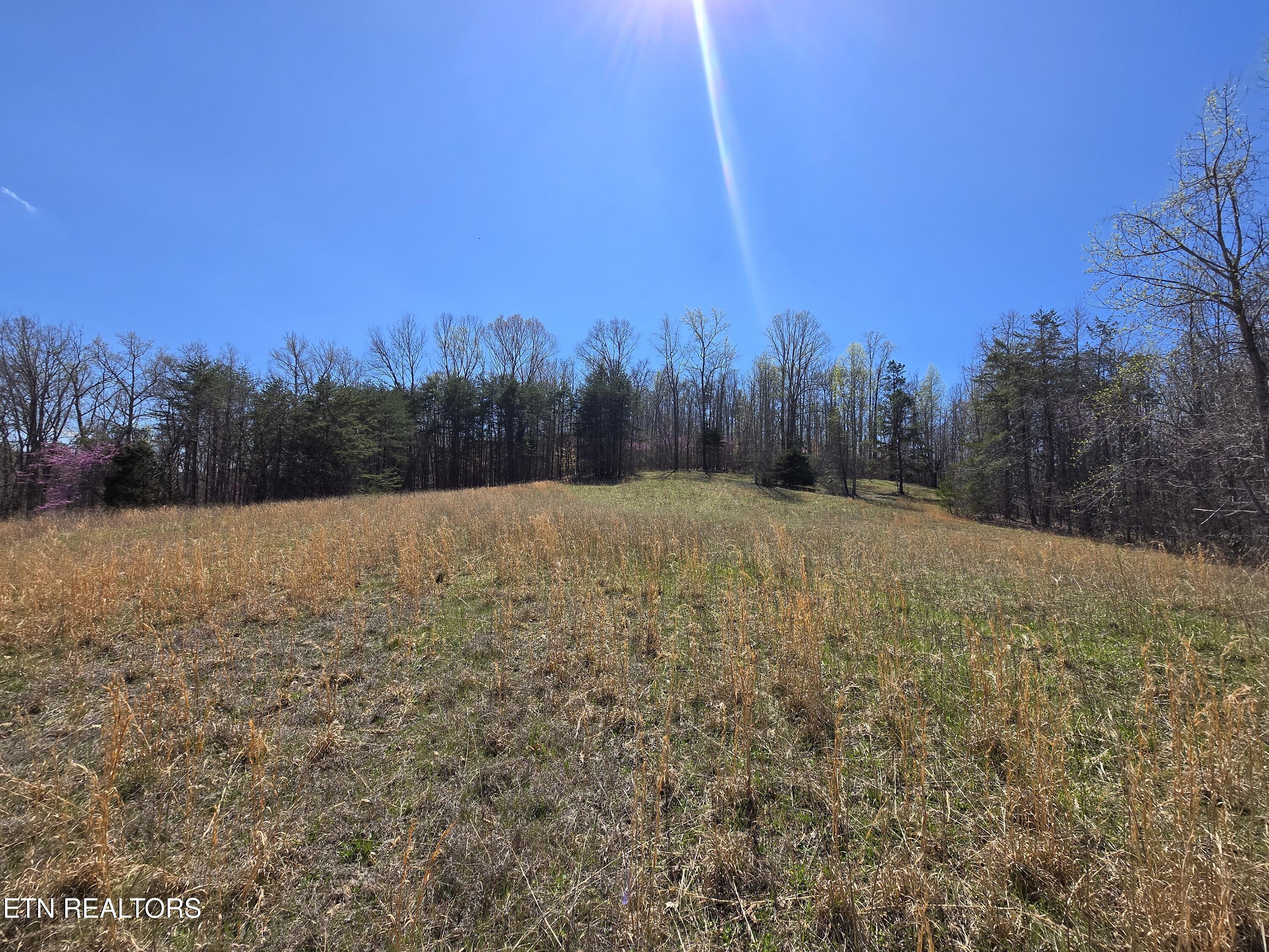 2405 River Road Kingston, TN 37763 - Photo 7 of 14 20250326_145301