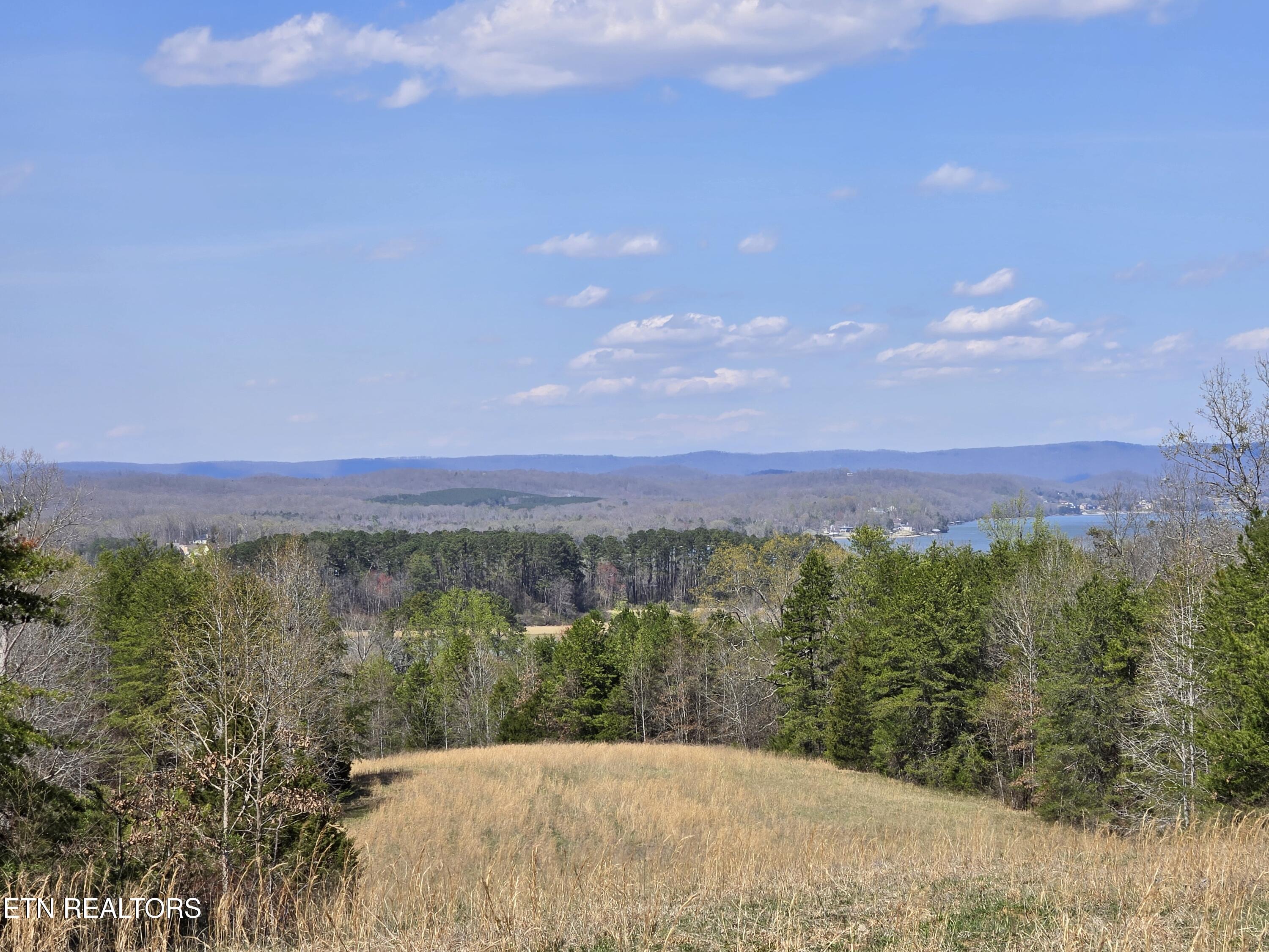 2405 River Road Kingston, TN 37763 - Photo 8 of 14 20250326_145338