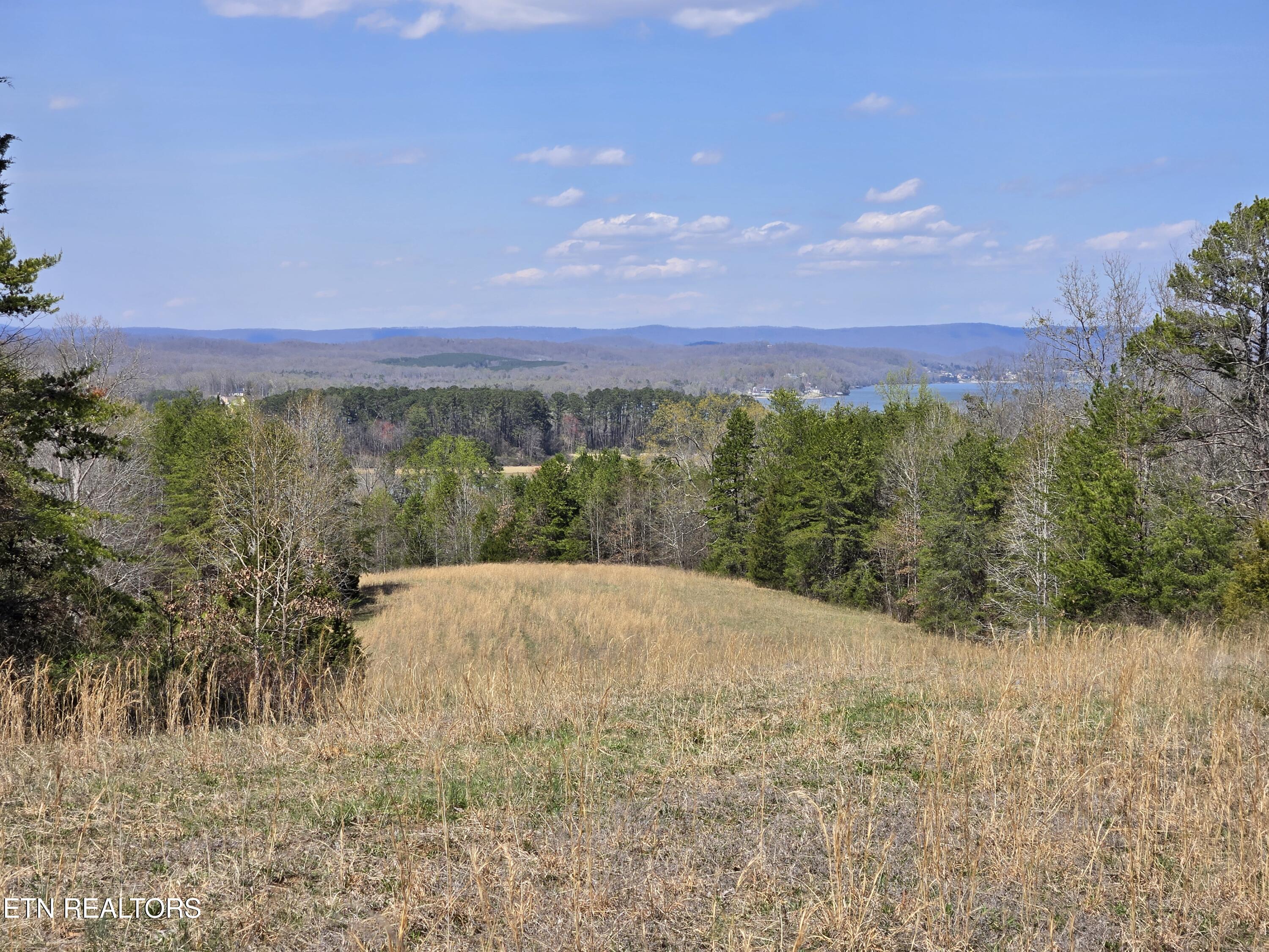 2405 River Road Kingston, TN 37763 - Photo 9 of 14 20250326_145350