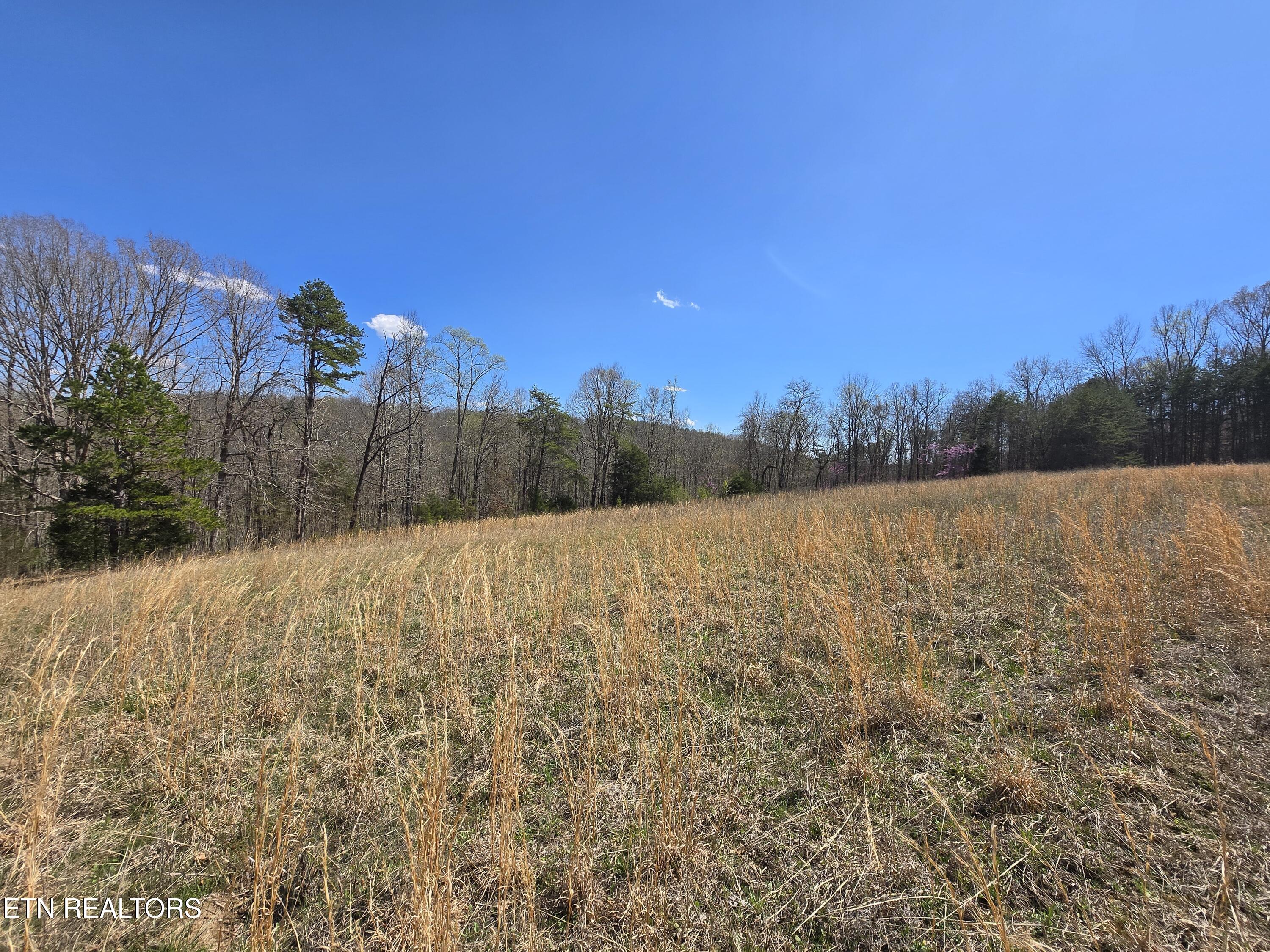 2405 River Road Kingston, TN 37763 - Photo 10 of 14 20250326_145404