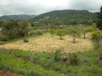 6293 Montana Road Santa Rosa, CA 95409 - Photo 2 of 9 a view of a town with mountains in the background