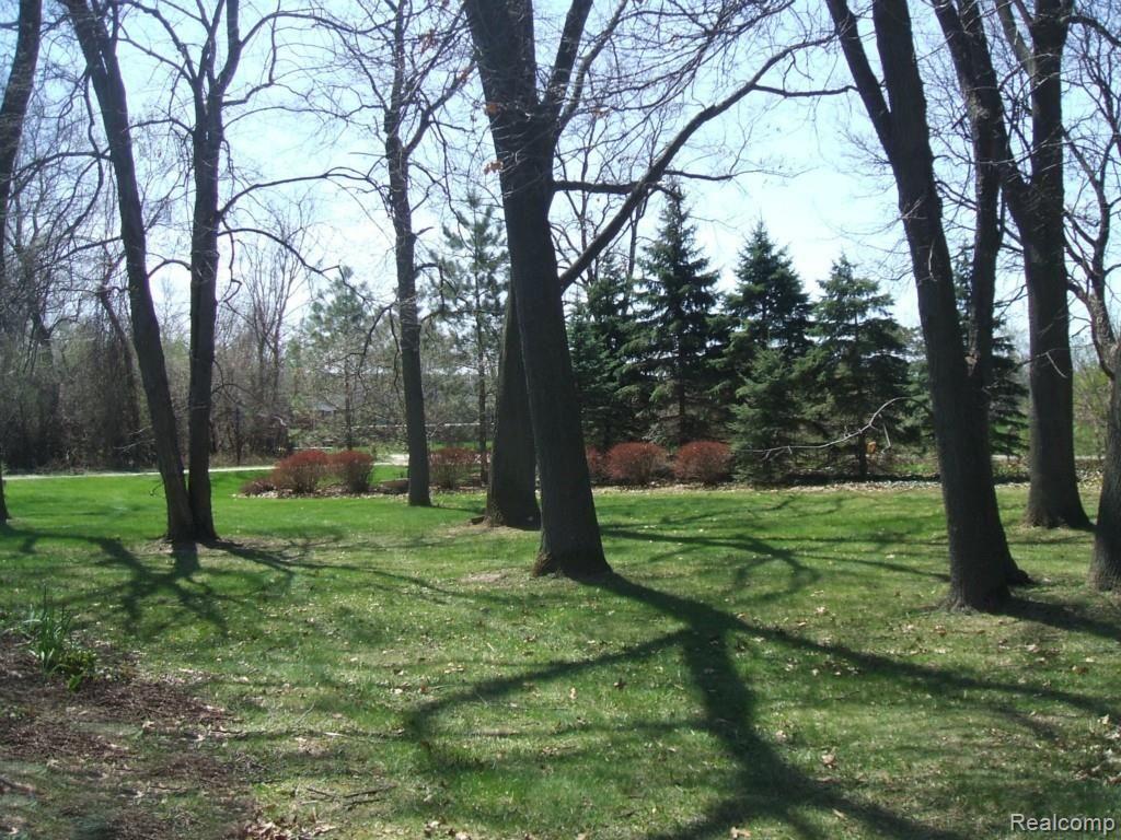 7135 Bingham Road Bloomfield Hills, MI 48301 - Photo 22 of 26 bb DSCF0291.jpg