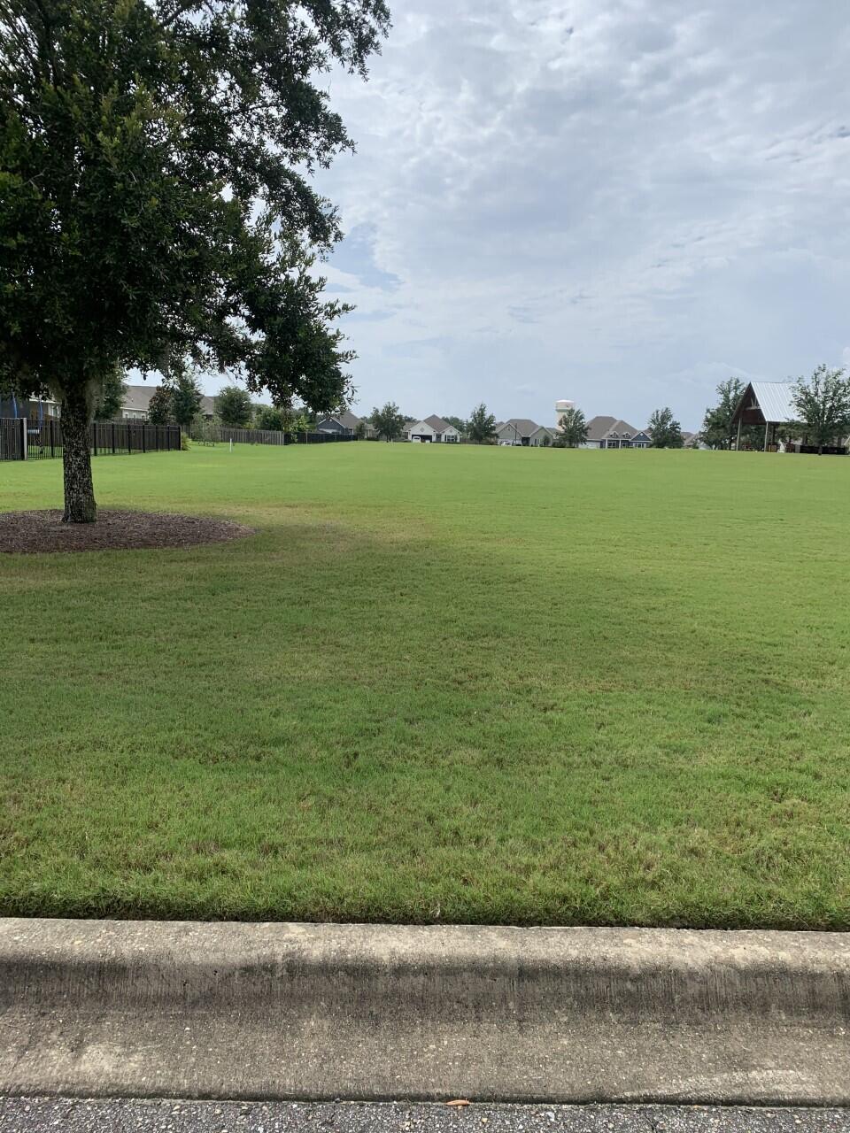 260 Cornelia Street Freeport, FL 32439 - Photo 27 of 42 a view of a field with an trees