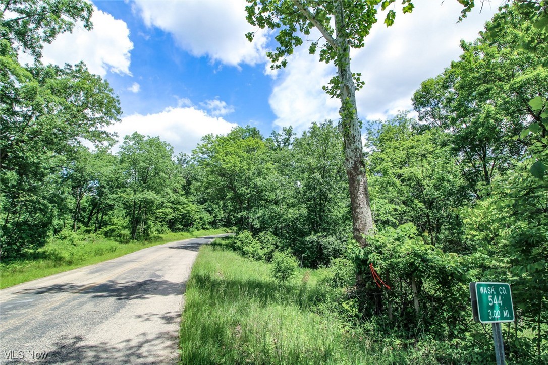 19 Zion Ridge Road Marietta, OH 45750 - Photo 17 of 19 View of asphalt road with a wooded view