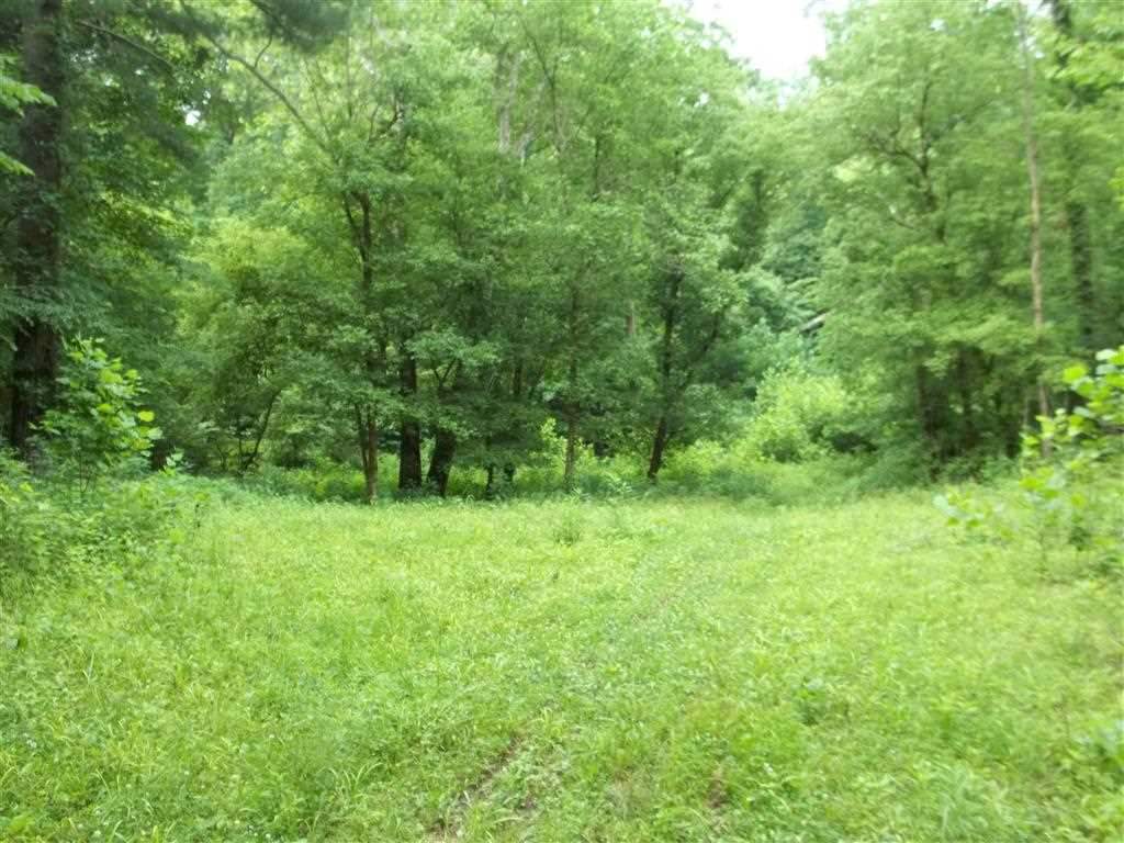 4480 East Gallimore Road Bloomfield, IN 47424 - Photo 2 of 15