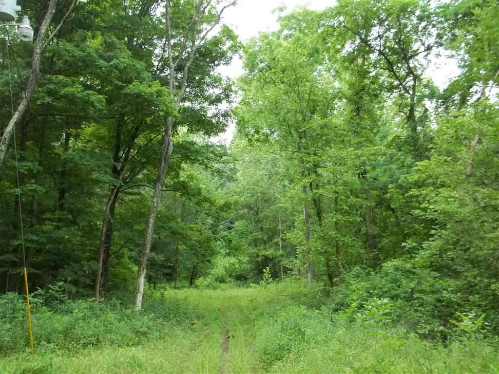4480 East Gallimore Road Bloomfield, IN 47424 - Photo 6 of 15