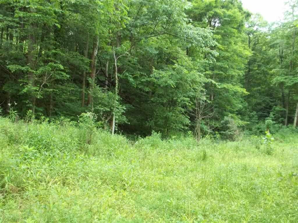 4480 East Gallimore Road Bloomfield, IN 47424 - Photo 7 of 15