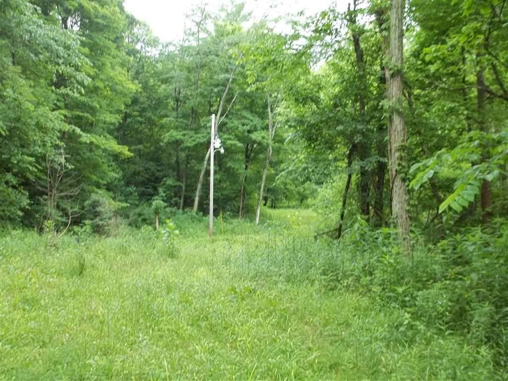 4480 East Gallimore Road Bloomfield, IN 47424 - Photo 8 of 15