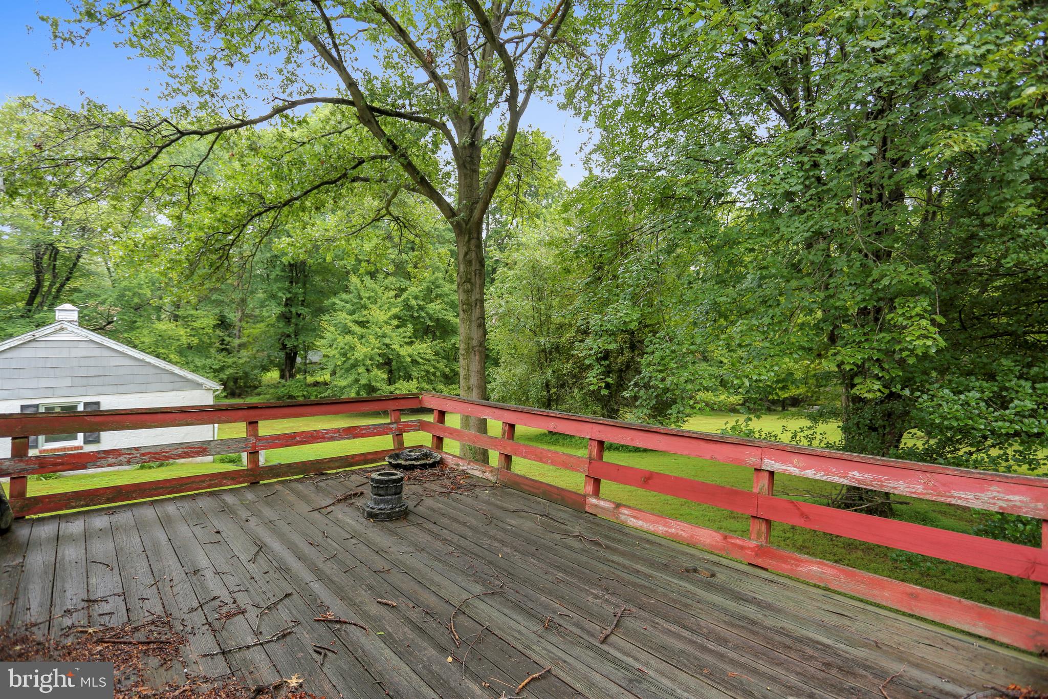 2122 Apple Tree Lane Silver Spring, MD 20905 - Photo 19 of 19