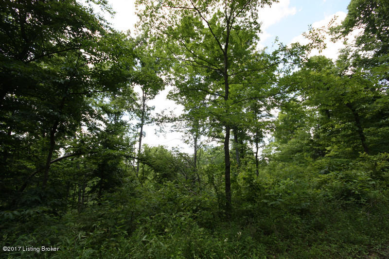 289 Hooper Barton Road Leitchfield, KY 42754 - Photo 5 of 29 Image12hopper barton rd