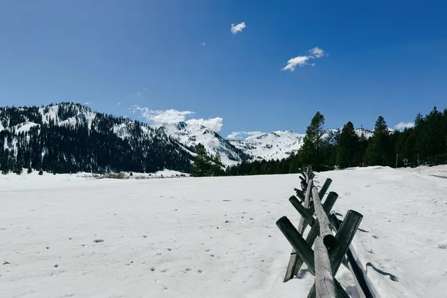 a view of a backyard with swimming pool