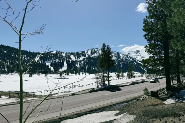 a view of a yard with a mountain