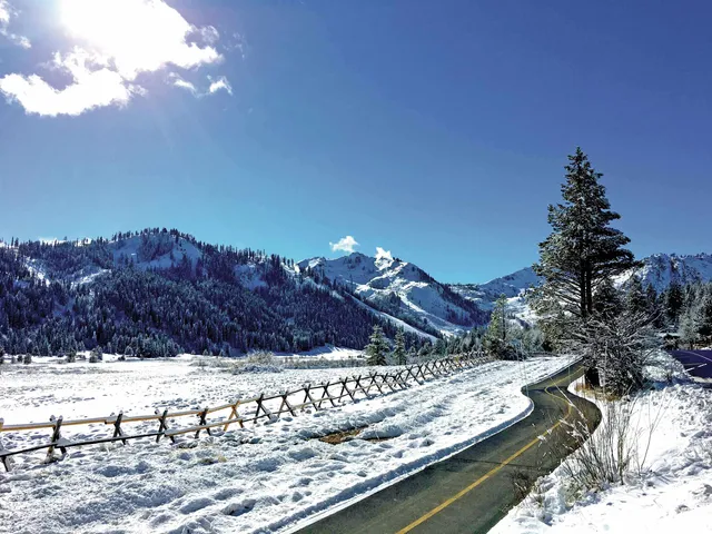 a view of a yard covered with snow in the background