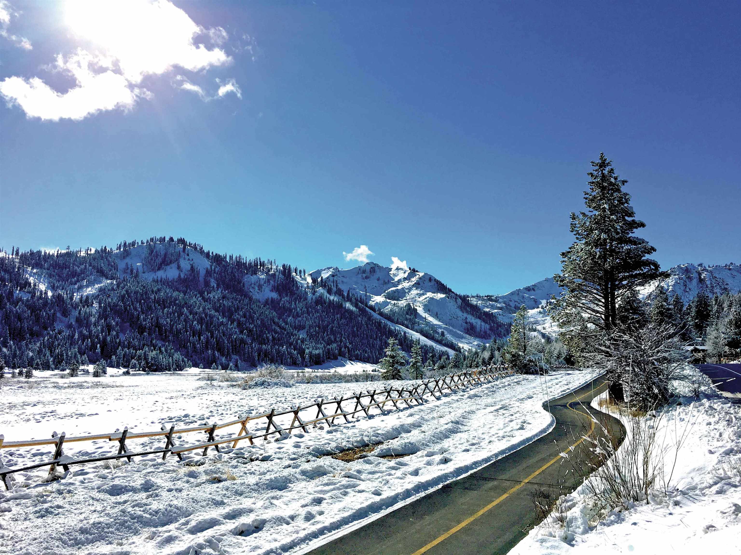 980 Olympic Vly Road Olympic Valley, CA 96146 - Photo 17 of 20 a view of a backyard with swimming pool