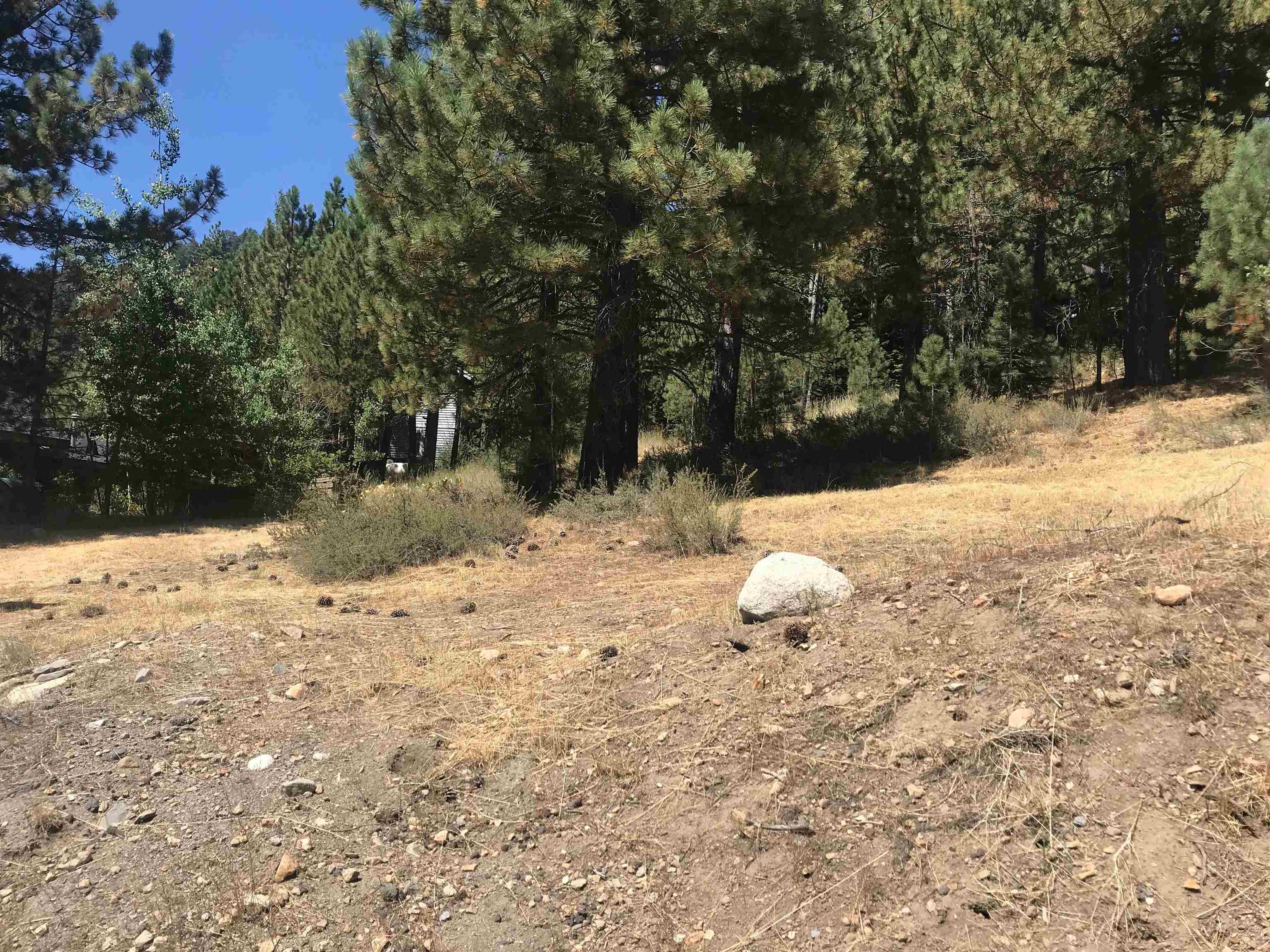 980 Olympic Vly Road Olympic Valley, CA 96146 - Photo 20 of 20 a view of a yard with snow