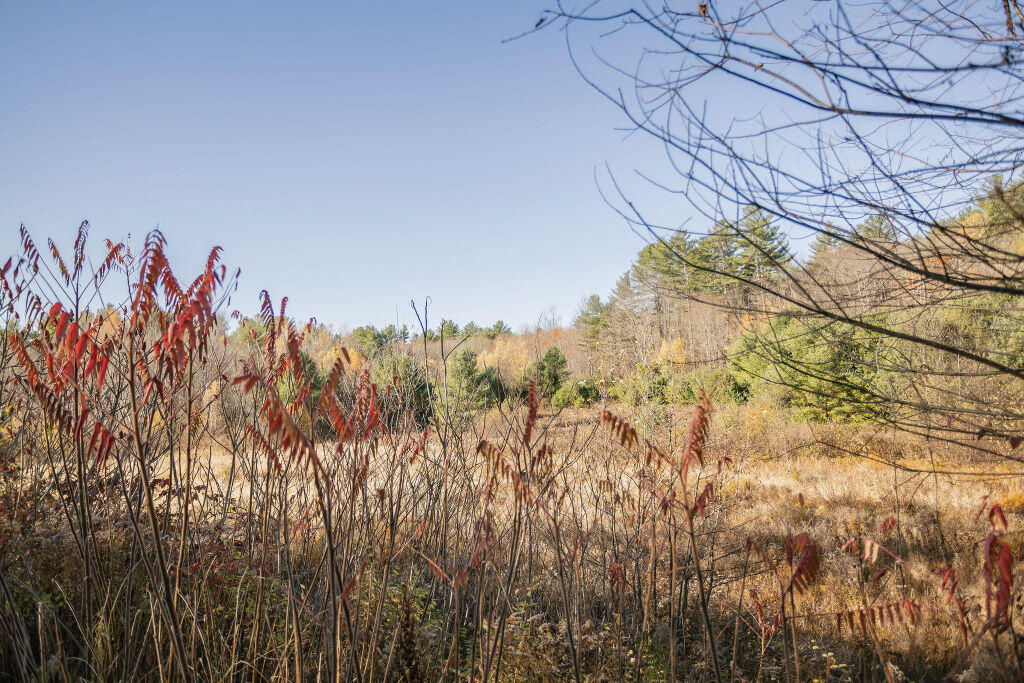 18 Belanger Road Jay, ME 04239 - Photo 55 of 57 taylor-kaminsky-photo-25
