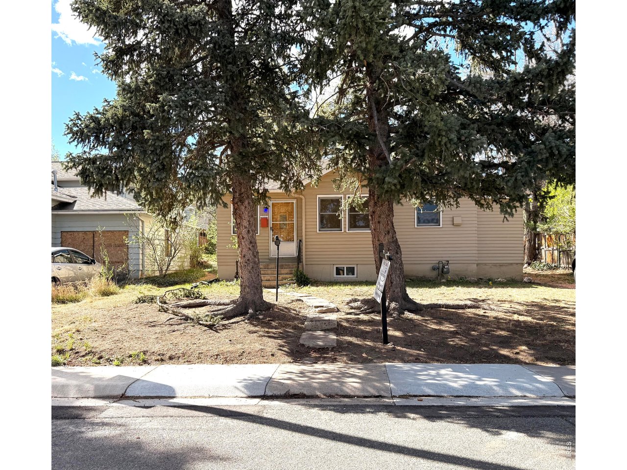 534 Dewey Avenue Boulder, CO 80304 - Photo 1 of 18 a tree in front of a house with trees
