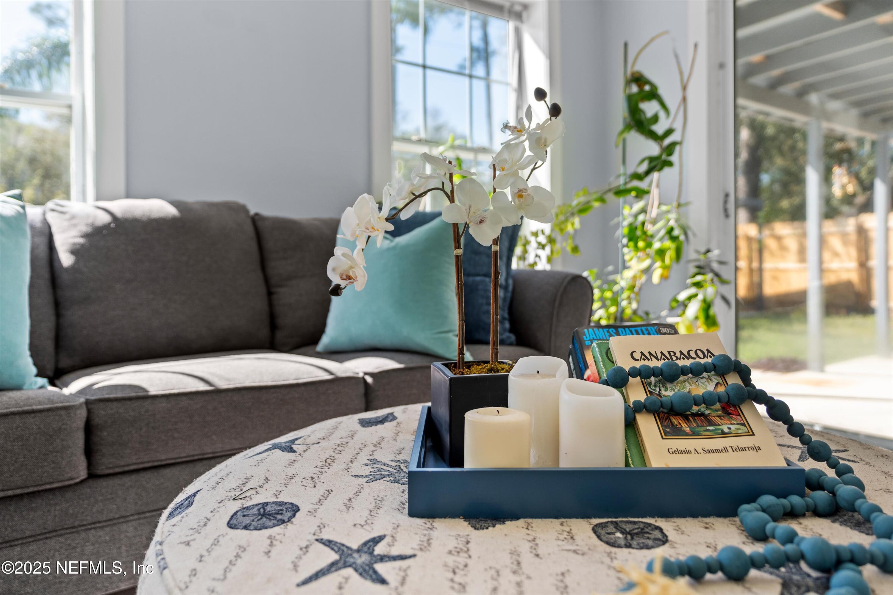 1216 Tumbleweed Drive Orange Park, FL 32065 - Photo 17 of 38 a living room with furniture and a potted plant