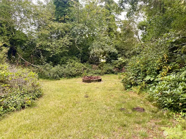 a view of yard with large trees