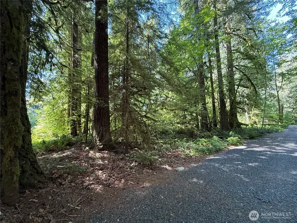 $90,000 | 0 Silver Lake Road, Maple Falls, WA 98266