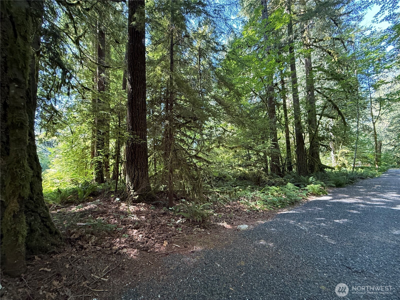 0 Silver Lake Road Maple Falls, WA 98266 - Photo 1 of 9