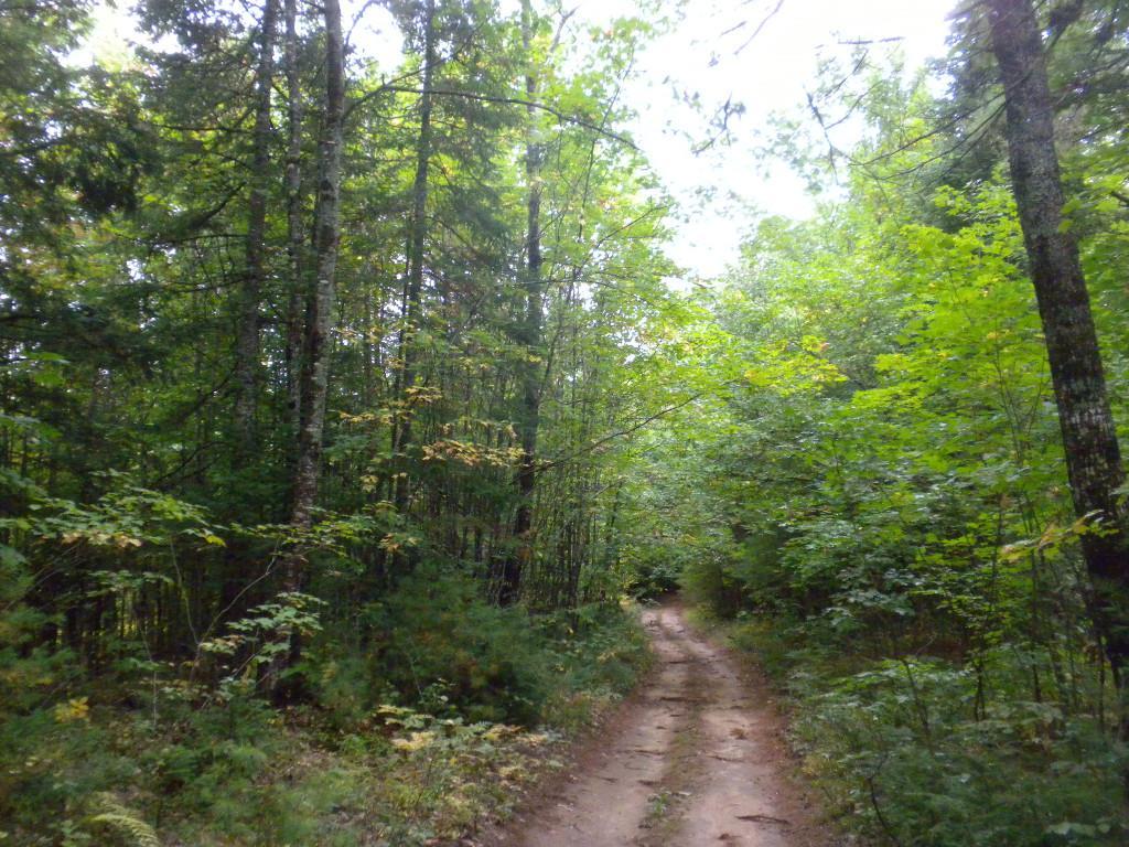 7 River Road Limington, ME 04049 - Photo 24 of 26 Photo