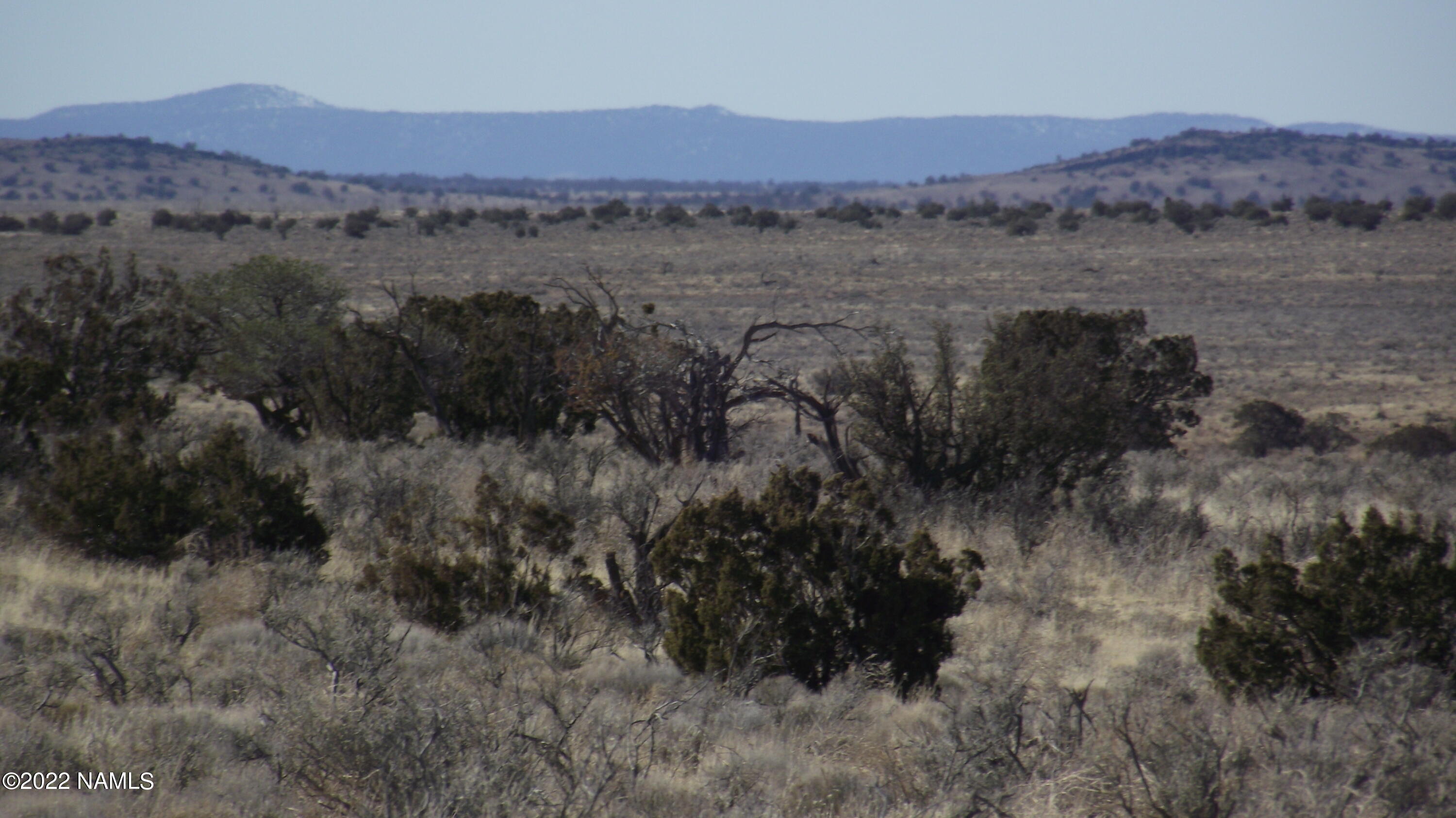 2177 South Lehigh Road Williams, AZ 86046 - Photo 5 of 7 DSCF5949