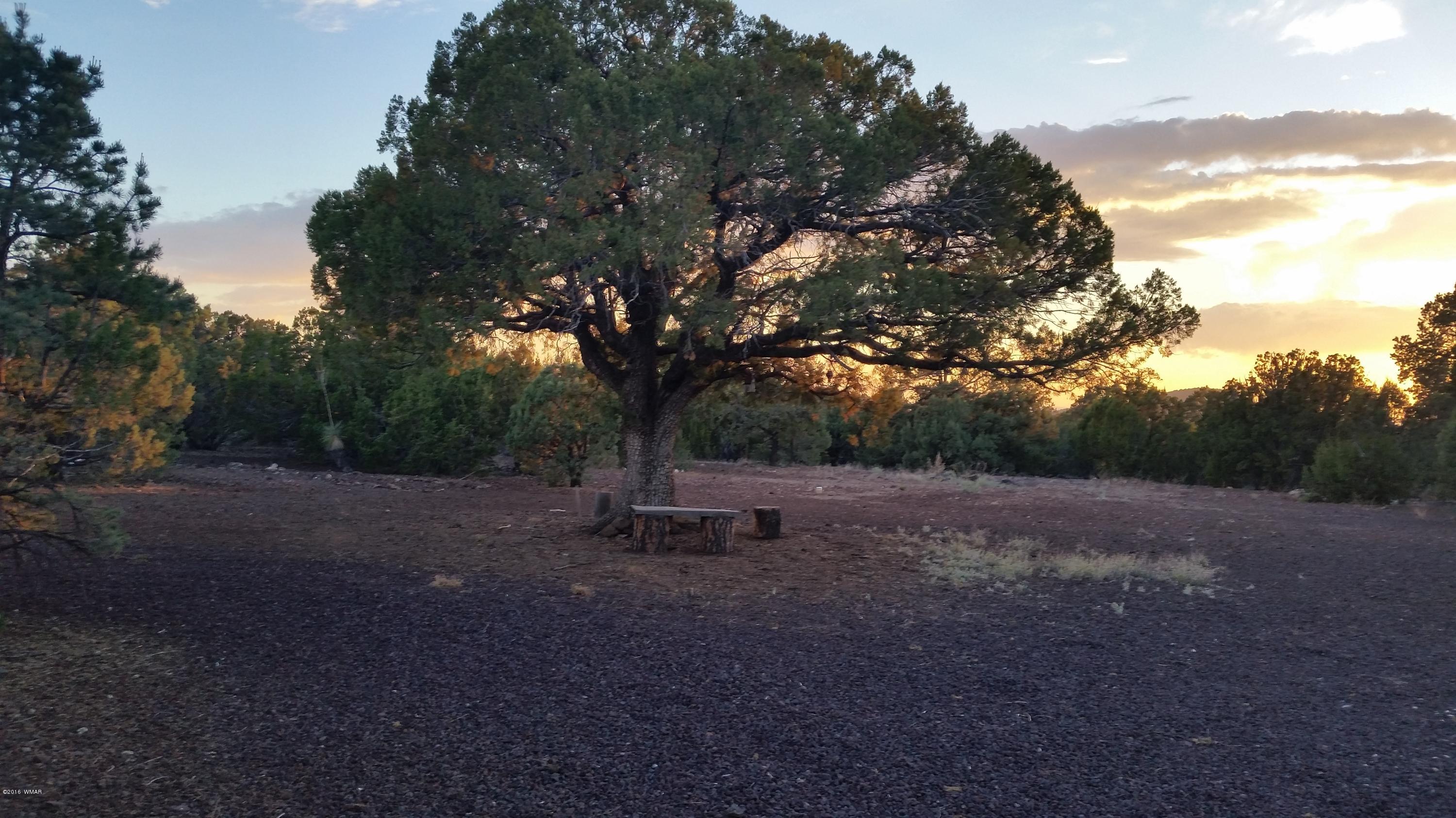 83 Ricks Concho, AZ 85924 - Photo 3 of 5