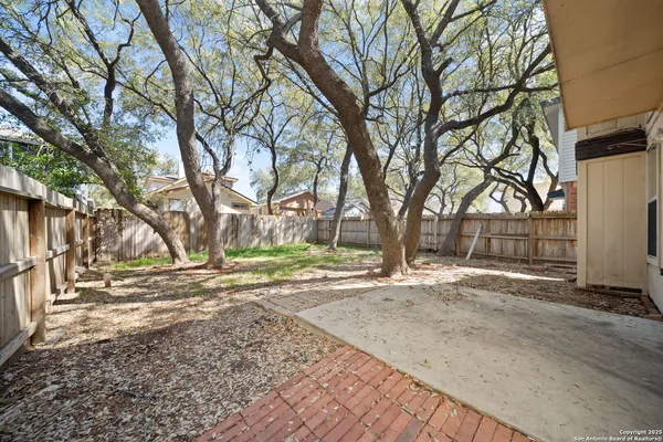 a view of a yard with plants and trees