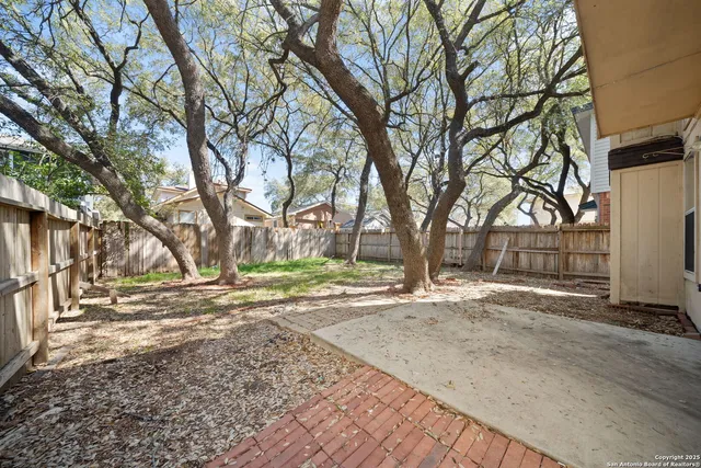 a view of a yard with plants and trees