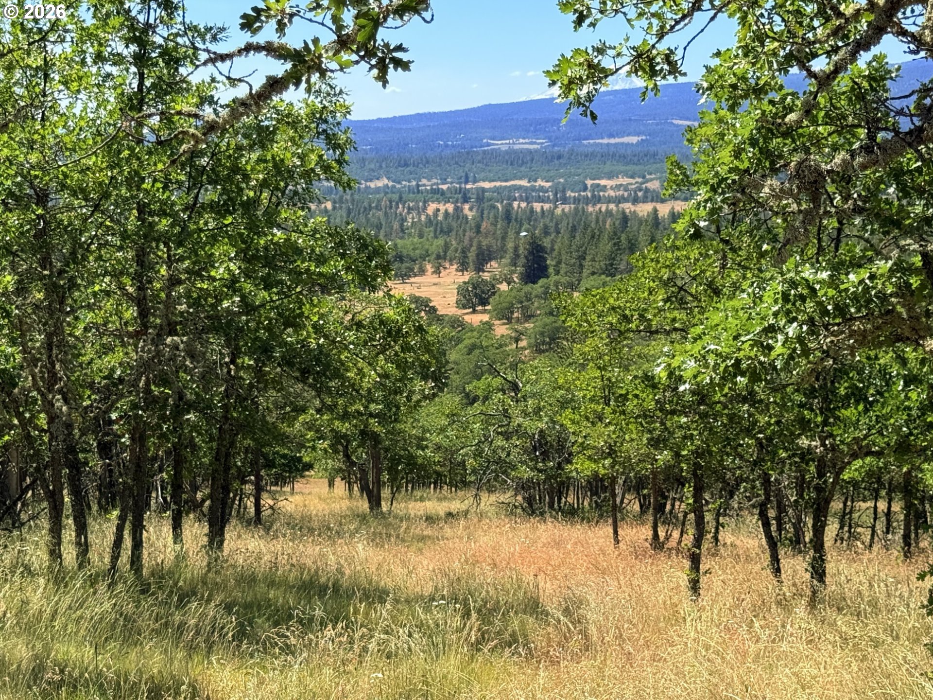 238 Chisholm Road Goldendale, WA 98620 - Photo 31 of 42