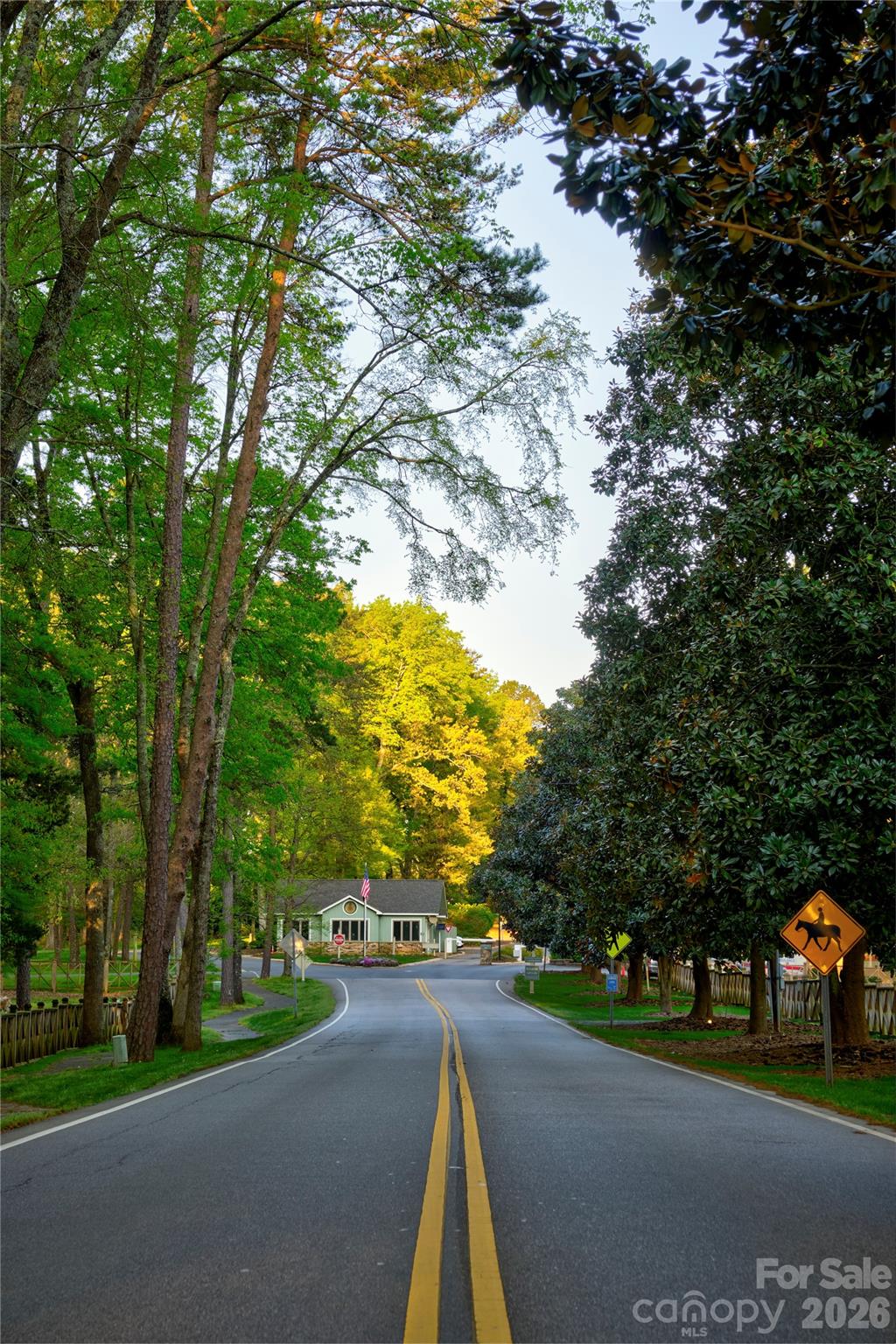 8 Hickory Ridge Court Lake Wylie, SC 29710 - Photo 35 of 37 a view of a street with a large trees
