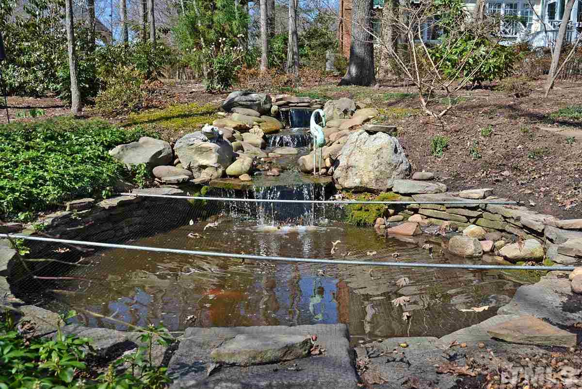 7924 Rooksley Court Raleigh, NC 27615 - Photo 24 of 25 Pond