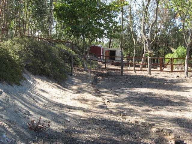 14281 Cane Road Valley Center, CA 92082 - Photo 17 of 24 Back yard looking toward outbuildings.