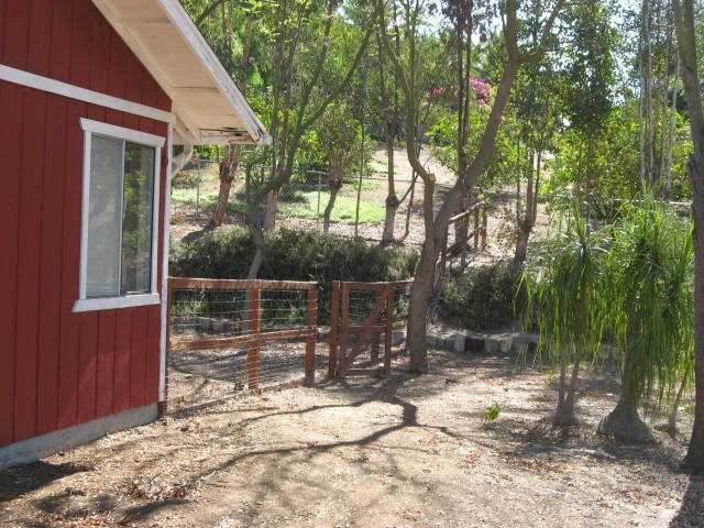 14281 Cane Road Valley Center, CA 92082 - Photo 19 of 24 Side yard from front of house.
