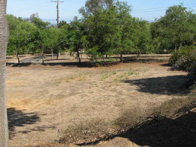14281 Cane Road Valley Center, CA 92082 - Photo 22 of 24 Driveway in from road with trees and sprinklers.