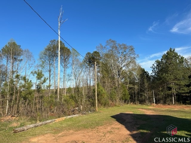 1 Dora Bush Hill Road McRae-Helena, GA 31037 - Photo 31 of 32