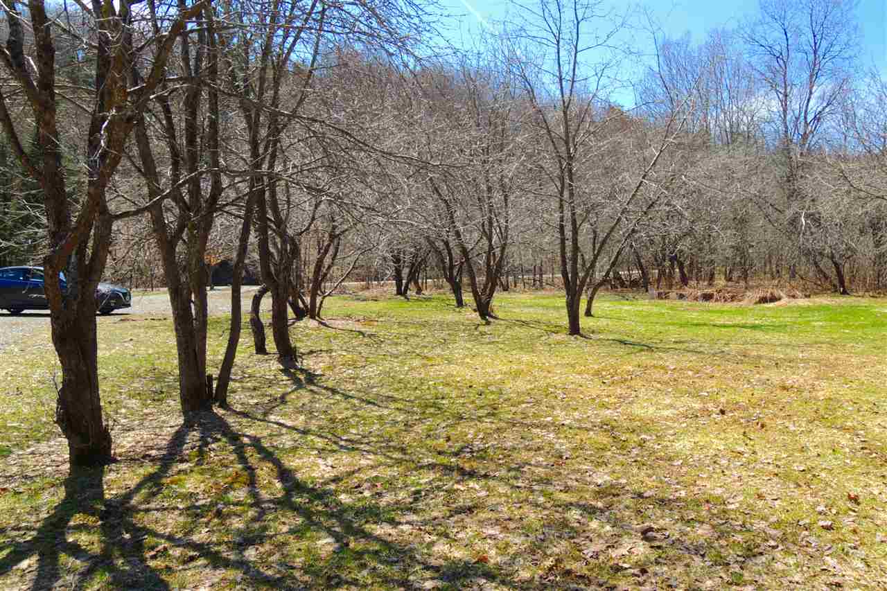 340 Town Line Road Craftsbury, VT 05827 - Photo 27 of 35