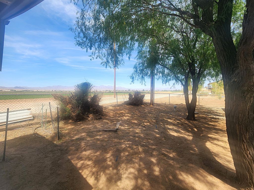 8257 Green Valley Road Mohave Valley, AZ 86440 - Photo 15 of 41 Expansive desert landscape with mature trees providing ample shade