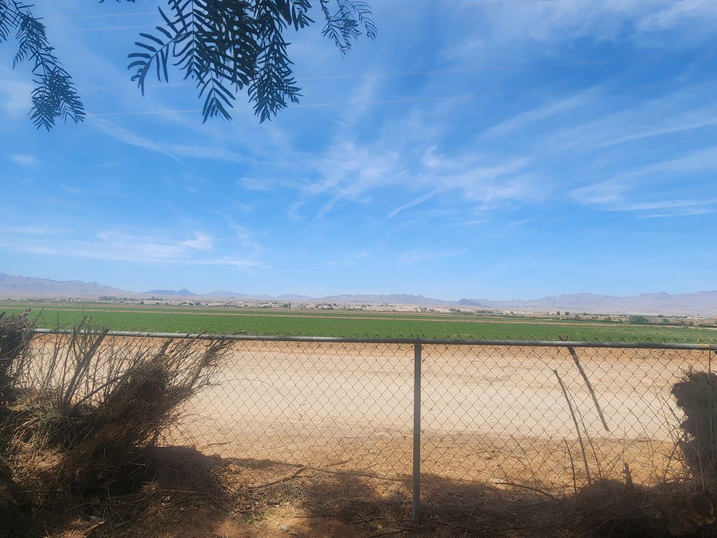 8257 Green Valley Road Mohave Valley, AZ 86440 - Photo 16 of 41 Expansive open field with distant mountains under a blue sky, framed by a chain-link fence and sparse foreground vegetation