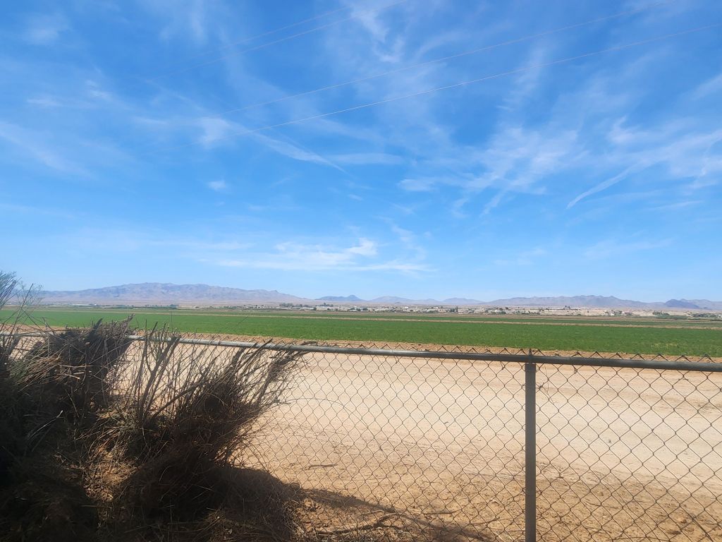 8257 Green Valley Road Mohave Valley, AZ 86440 - Photo 17 of 41 Expansive rural landscape featuring a chain-link fence, desert brush, and cultivated green fields