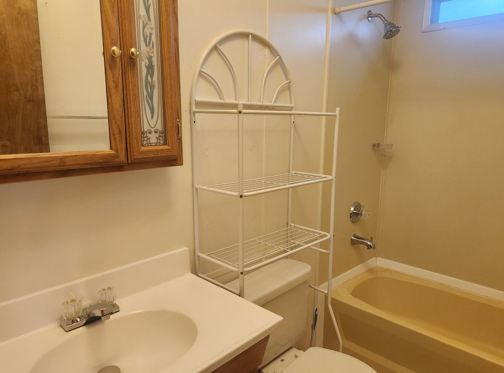 8257 Green Valley Road Mohave Valley, AZ 86440 - Photo 27 of 41 Built-in wood-finish medicine cabinet with frosted glass accents and a built-in tub with a shower fixture