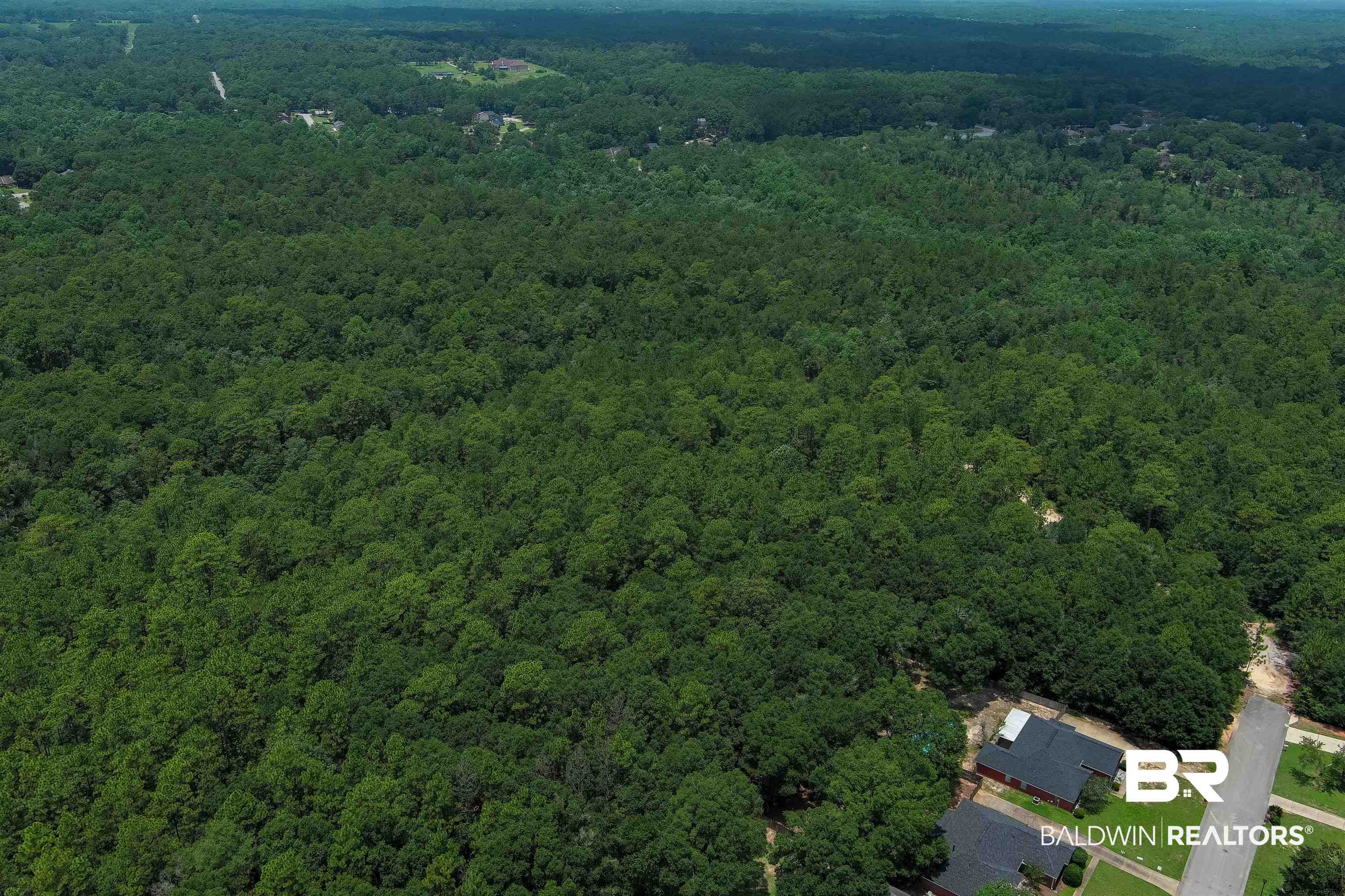 0 Schillinger Road Mobile, AL 36619 - Photo 12 of 25