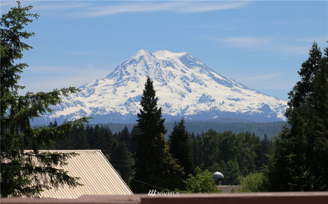 27615 Webster Road East Graham, WA 98338 - Photo 2 of 36 a view of a sky from a balcony