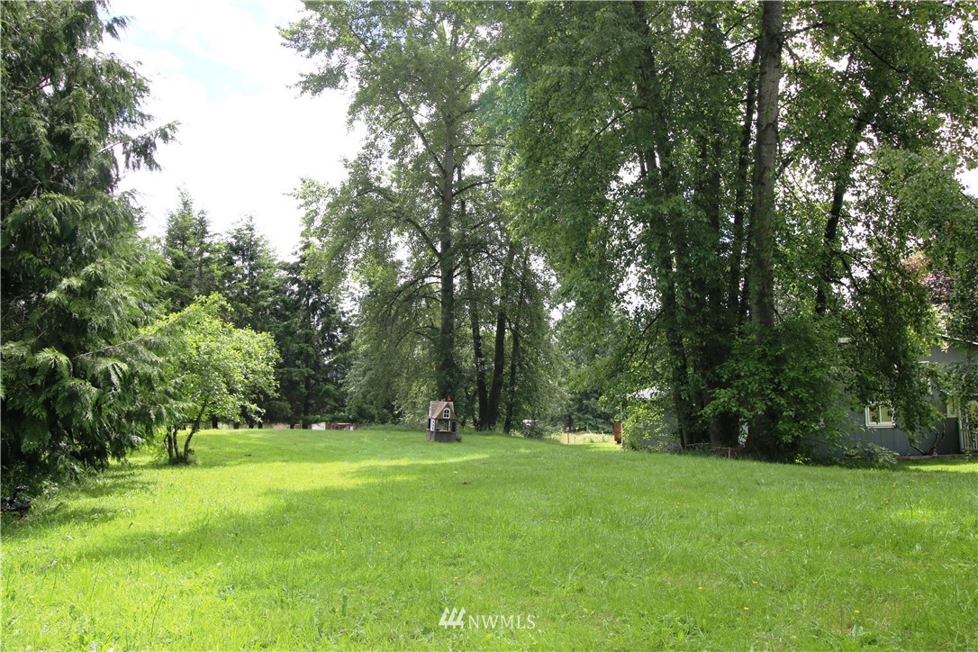 27615 Webster Road East Graham, WA 98338 - Photo 5 of 36 a view of green field with trees in the background