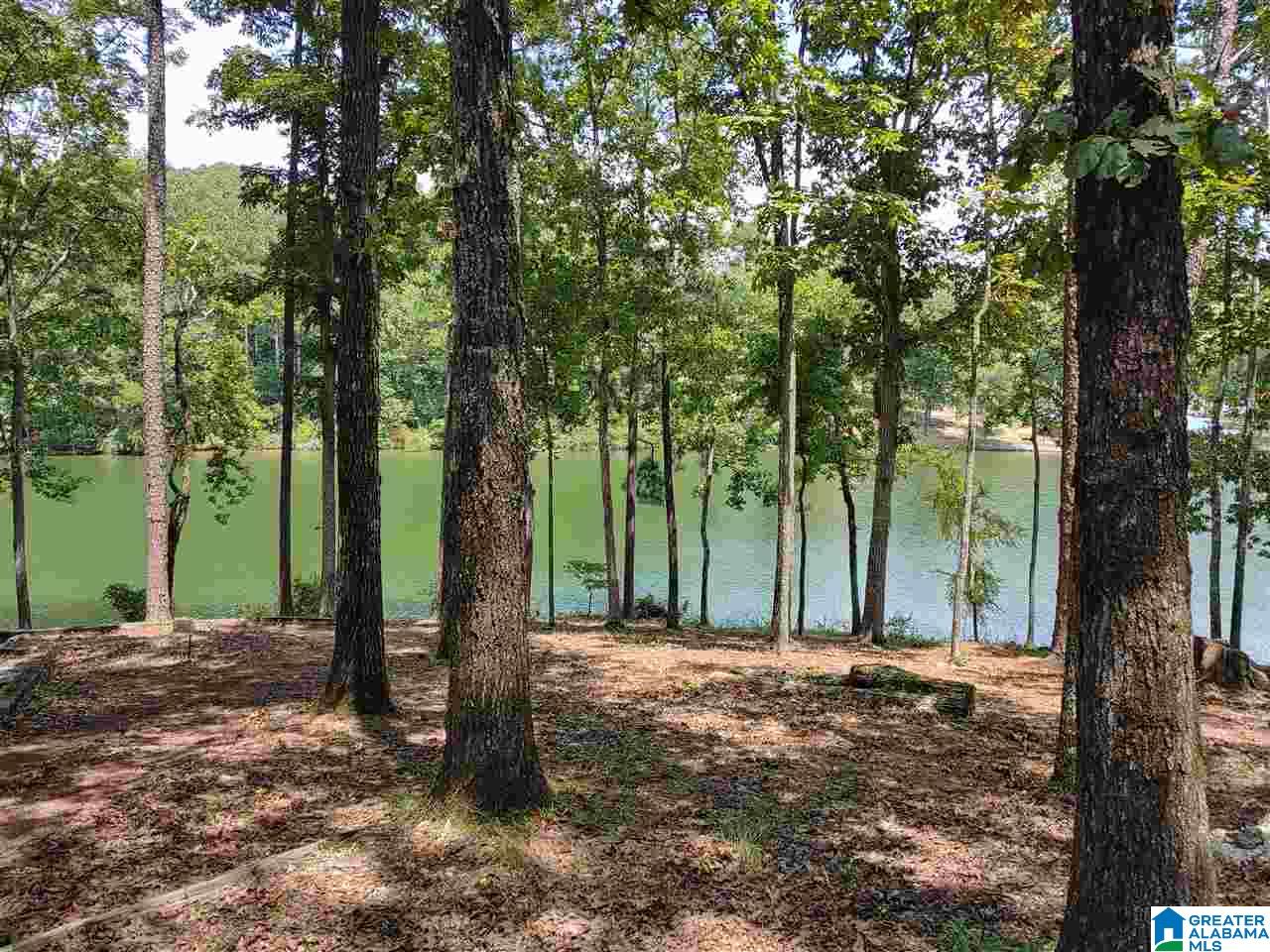 405 Cherokee Road, Unit 6 Cropwell, AL 35054 - Photo 14 of 20
