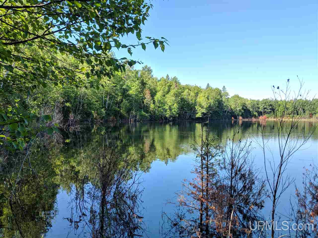 33-ac Bates Amasa Road Crystal Falls, MI 49920 - Photo 1 of 11