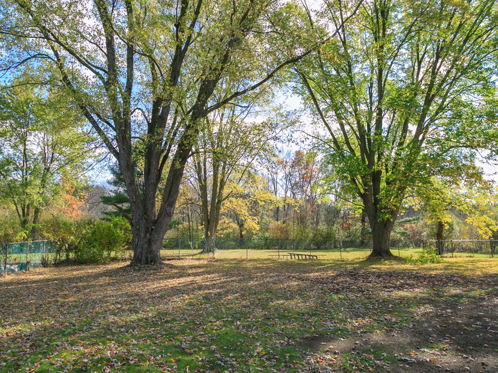 47 Dover Road Millis, MA 02054 - Photo 23 of 26 Gallery Image 23