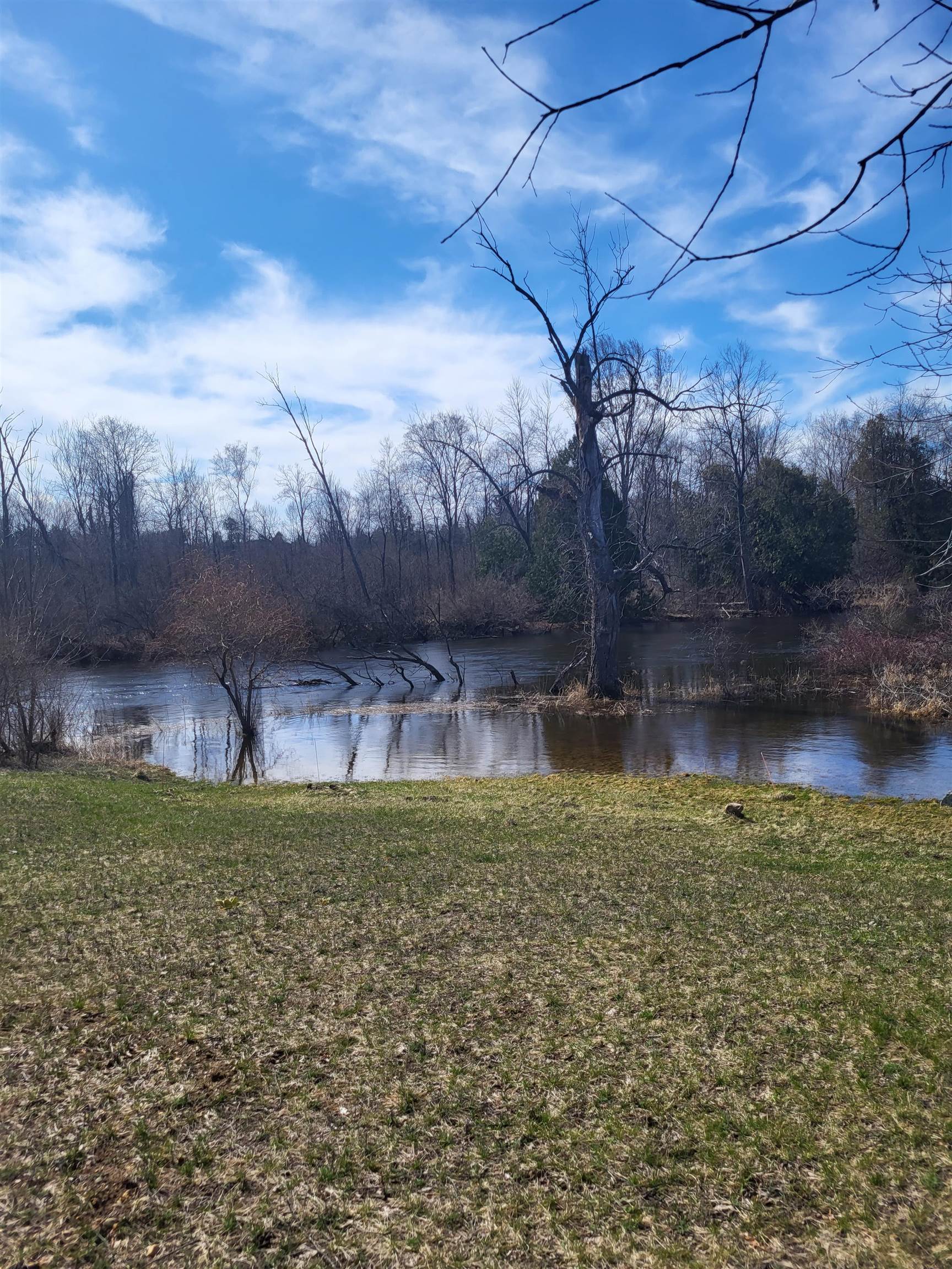 West Little Turtle Way Weidman, MI 48893 - Photo 3 of 11
