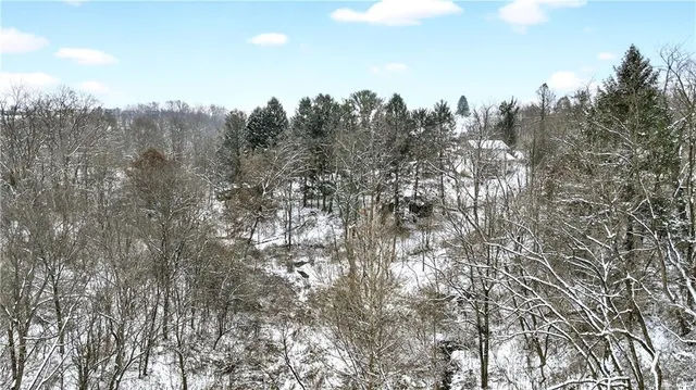 a view of a city with lush green forest